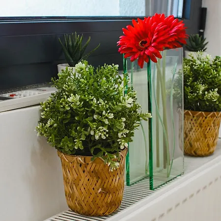 Gracija Apartament Jagodina