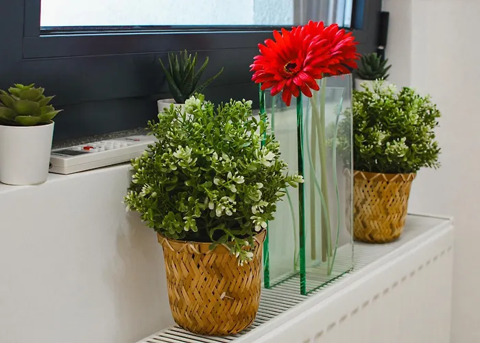 Gracija Διαμέρισμα Jagodina